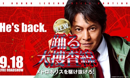 冷冻东北野生蔓越莓-冷冻蔓越莓营养价值网—知名的冷冻蔓越莓和新鲜蔓越莓的区别网站,分享蔓越莓冷藏能放多久知识