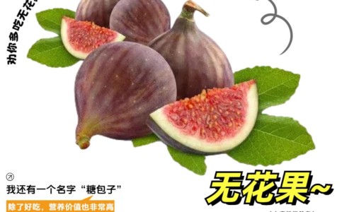 蔓越莓冻果还能吃吗-冷冻蔓越莓营养价值网—知名的冷冻蔓越莓和新鲜蔓越莓的区别网站,分享蔓越莓冷藏能放多久知识